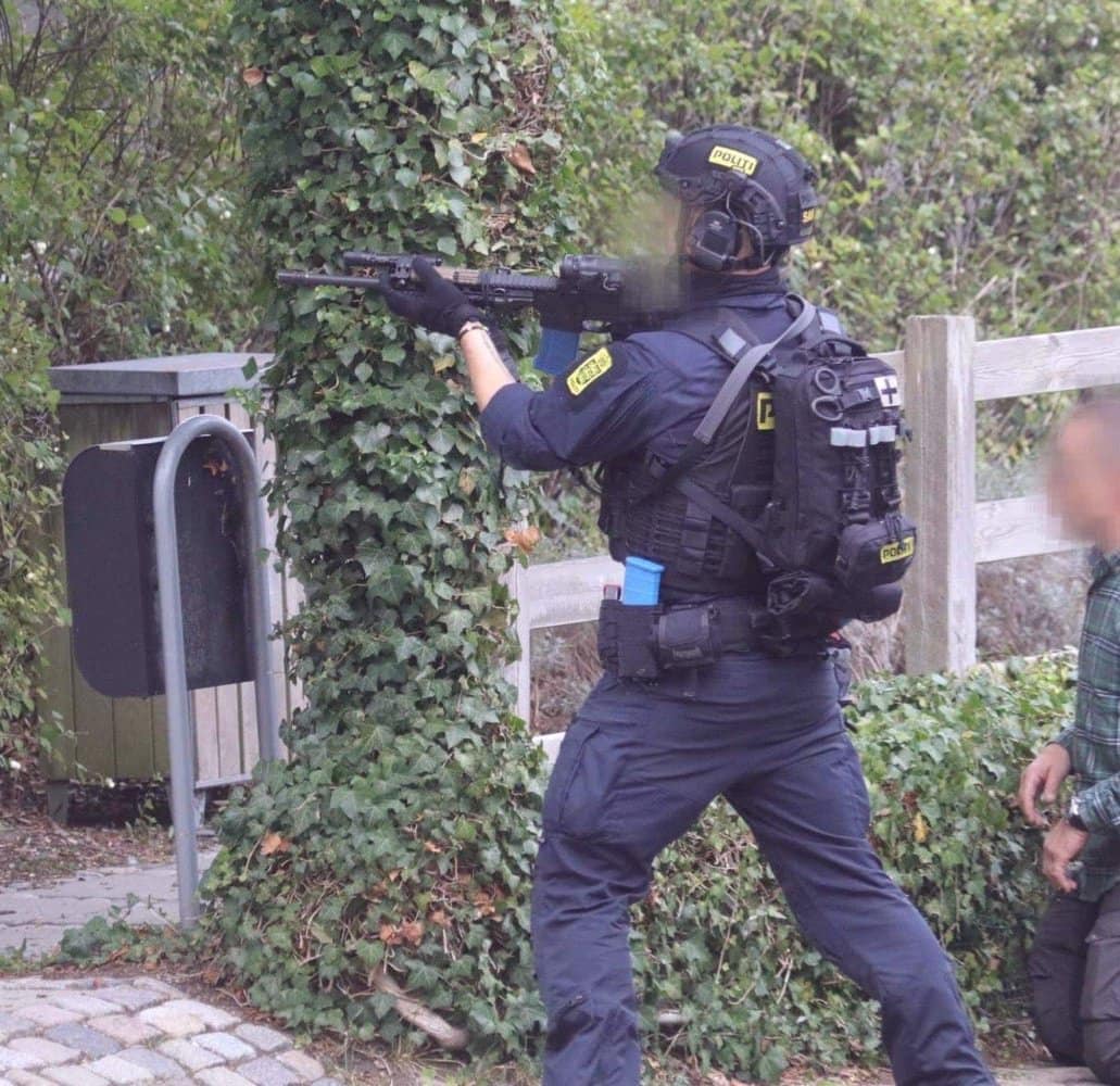 Αστυνομία Δανίας