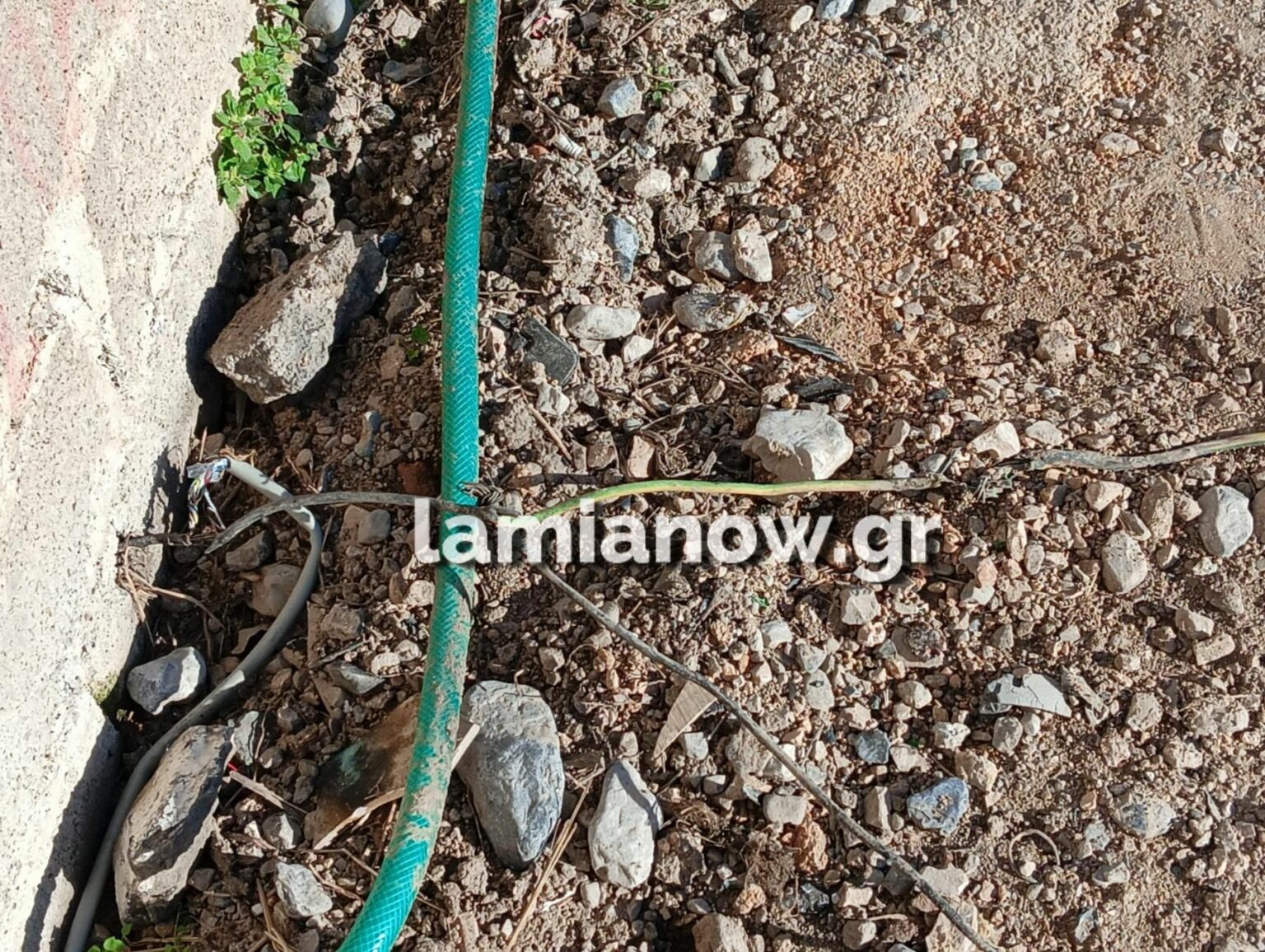 επιχείρηση_lamianow