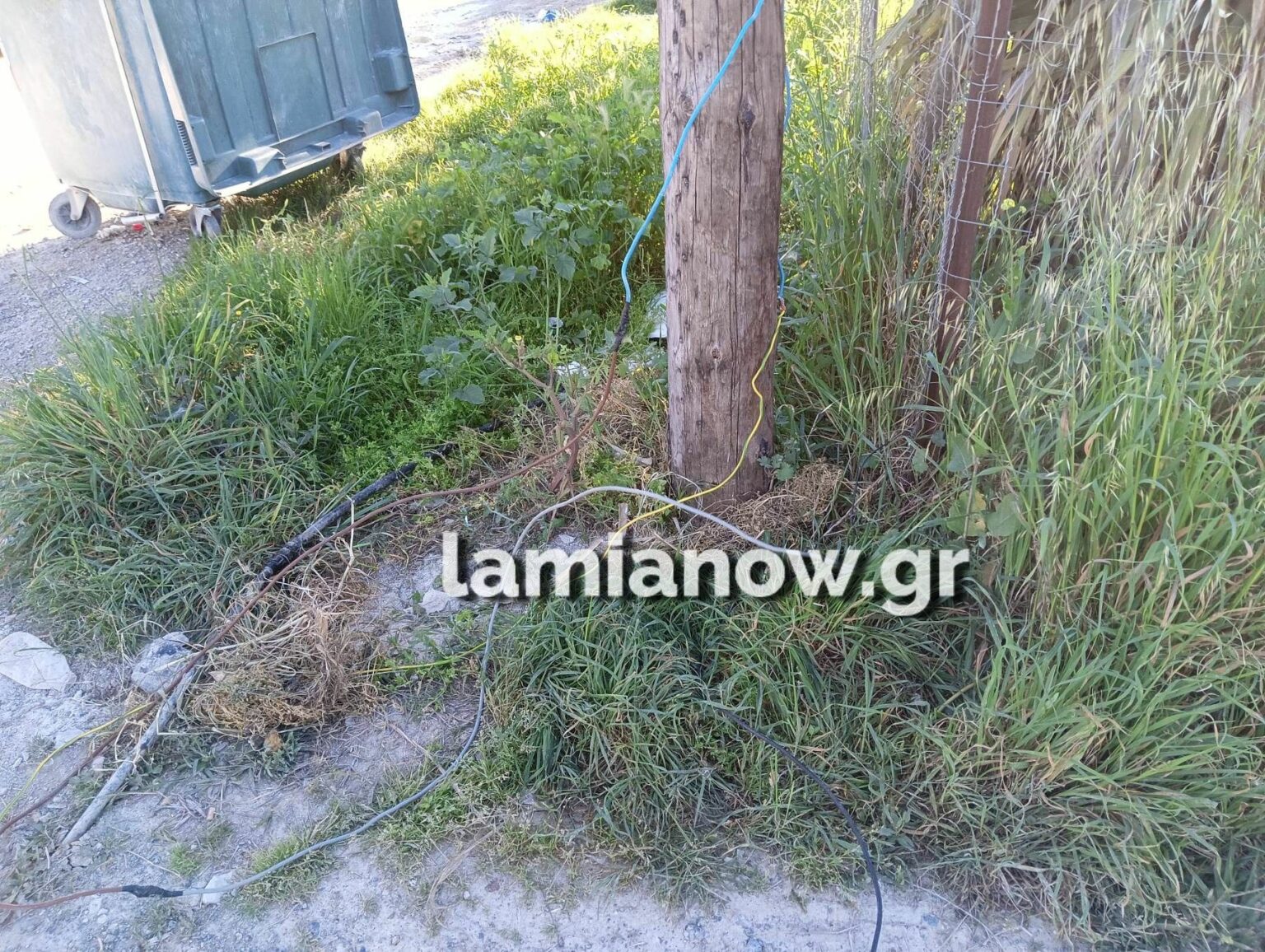 επιχείρηση_lamianow