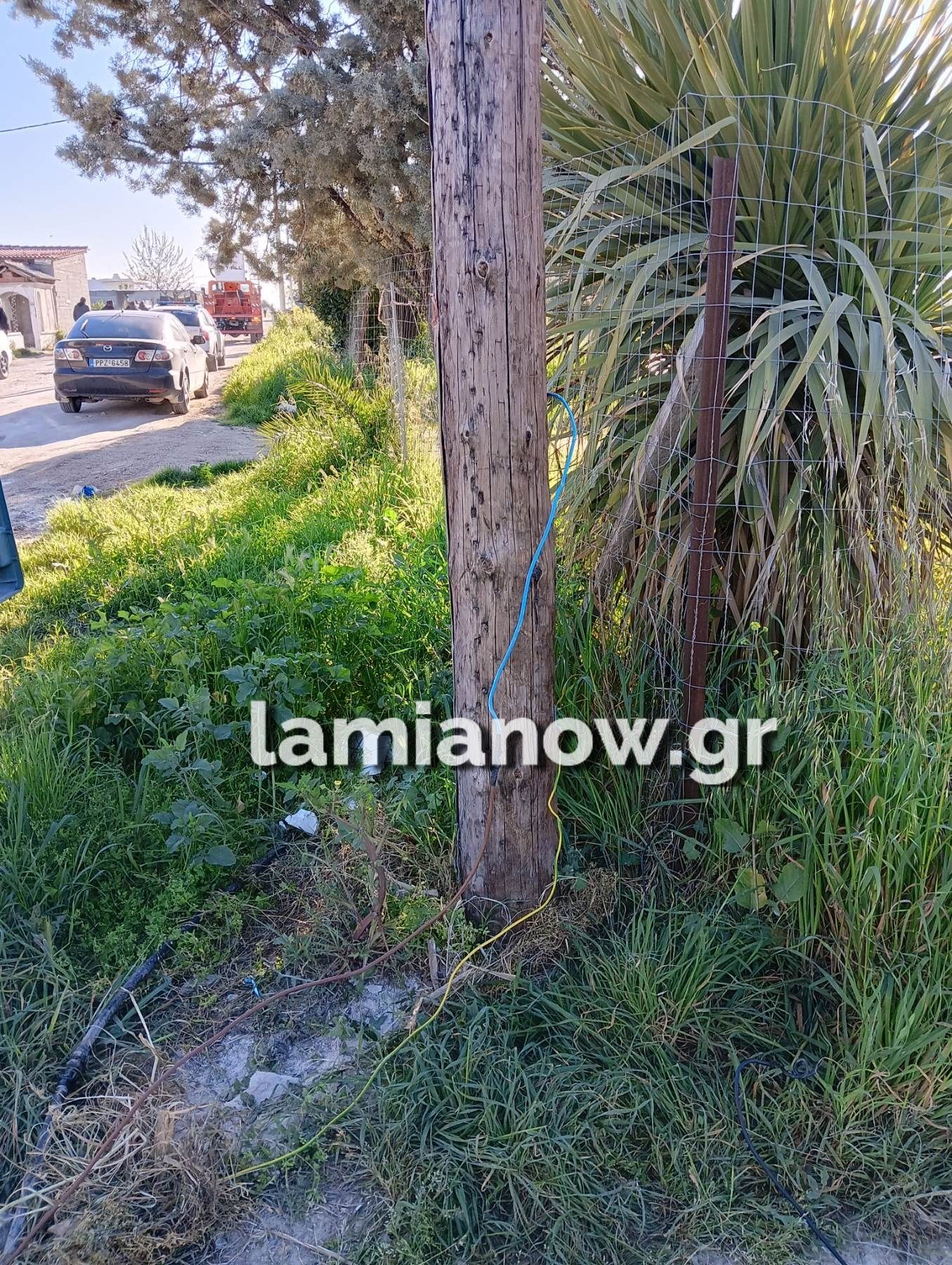 επιχείρηση_lamianow