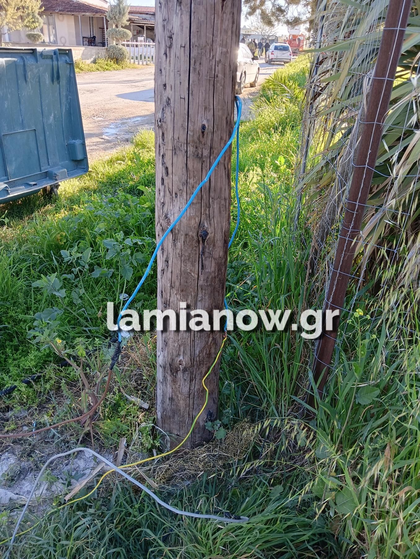 επιχείρηση_lamianow