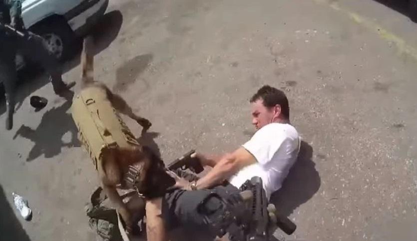 ΑΣΤΥΝΟΜΙΚΟς ΣΚΥΛΟς