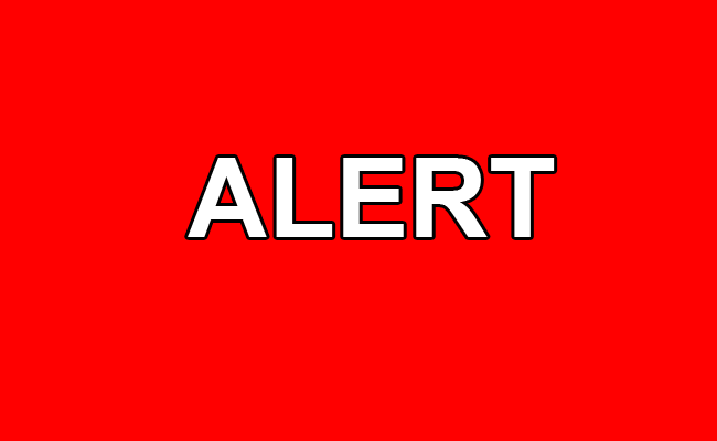 alert