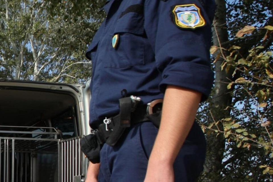 συνοριακοι