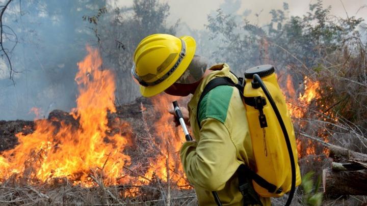 Δασικές πυρκαγιές
