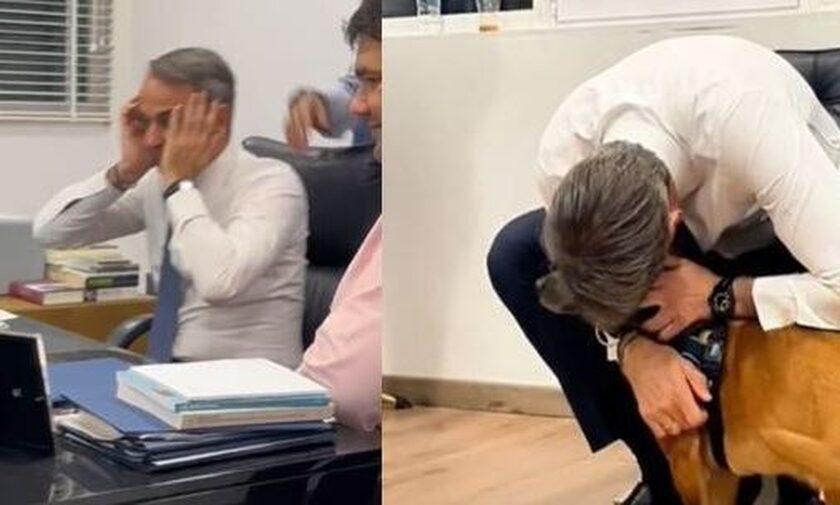 ΜΗΤΣΟΤΑΚΗΣ