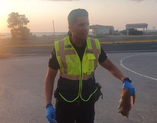  Ορφανουδάκη