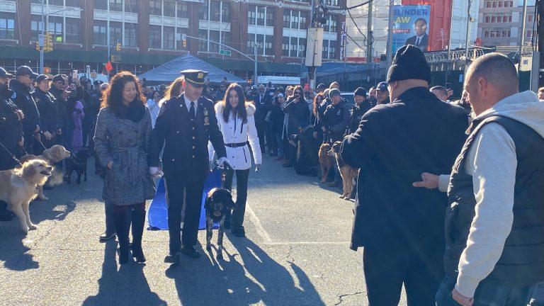 Ιωάννη Πάππα