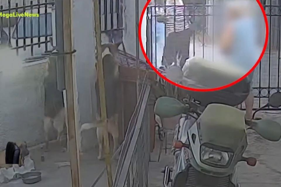 Σαλαμίνα: Αστυνομικός