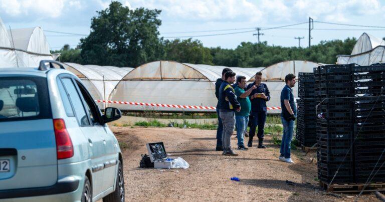 ΔΟΛΟΦΟΝΙΑ ΑΙΓΥΠΤΙΟΥ.