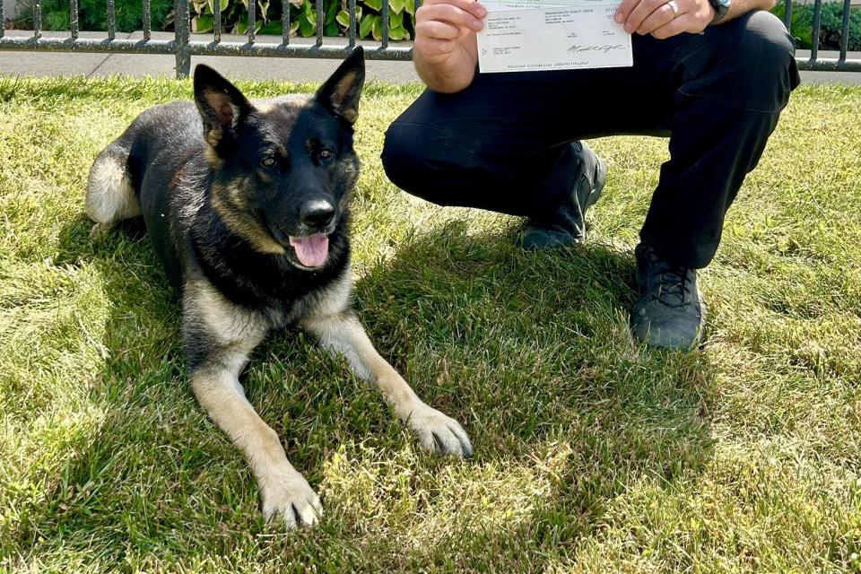 Tuscola County της πολιτείας Michigan, ο αστυνομικός σκύλος Belo