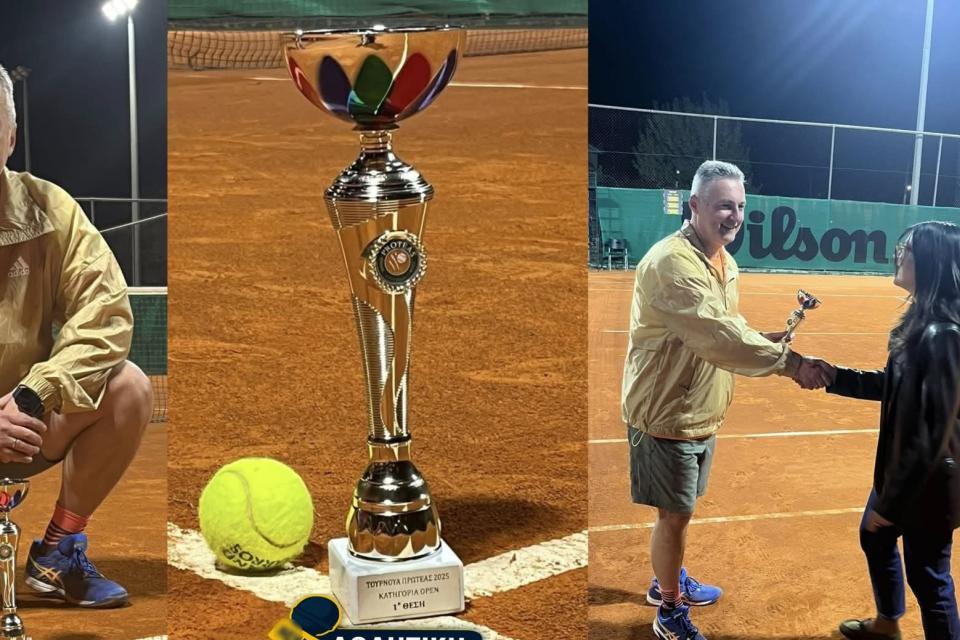 αστυνομικός διευθυντής