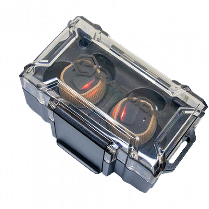 Ωτοασπίδες