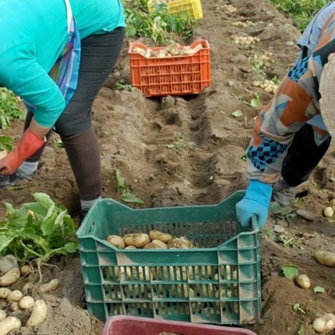 Επιθεώρηση Εργασίας