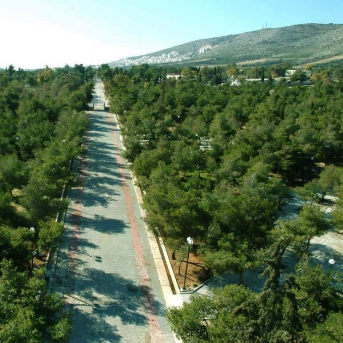 ΠΑΡΚΟ ΝΕΑΣ ΖΩΗΣ