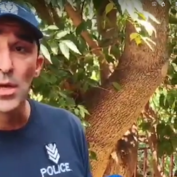  Δημήτρης Χριστοδουλοπουλος 