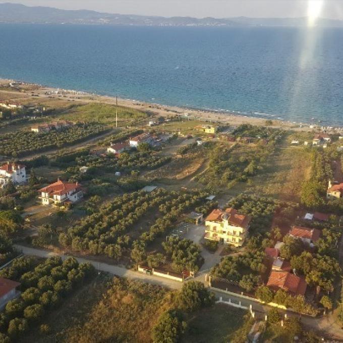 ΧΑΛΚΙΔΙΚΗ