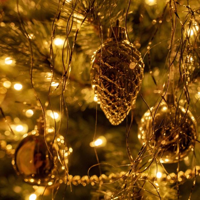 ΧΡΙΣΤΟΥΓΕΝΝΙΑΤΙΚΟ ΔΕΝΤΡΟ