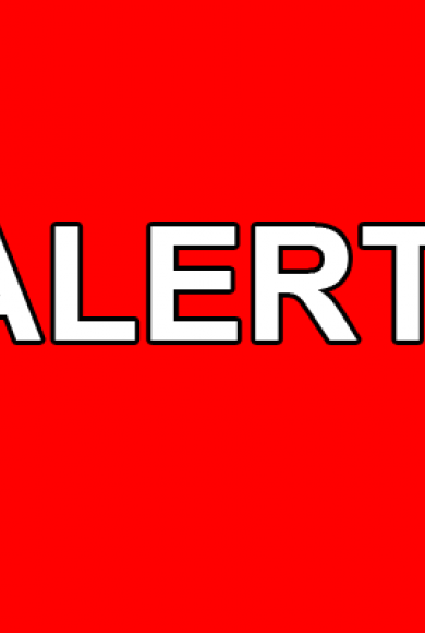 alert