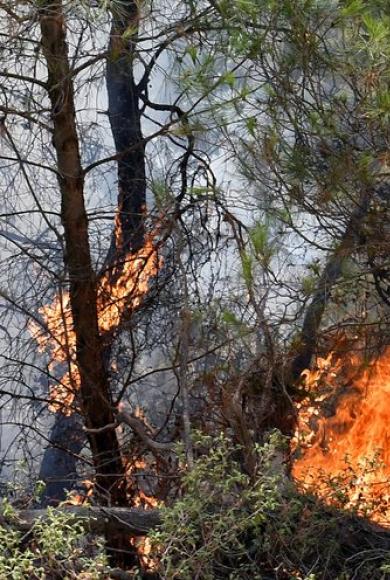 Σάμος: Γυναίκα έβαλε φωτιά στο Βαθύ - Αναγνωρίστηκε από κάμερα ασφαλείας και συνελήφθη