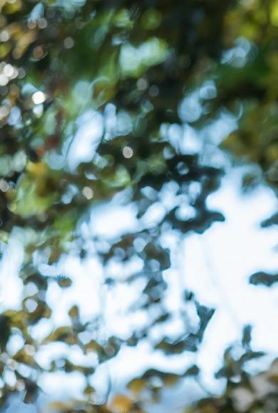 οδικό δίκτυο