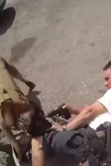 ΑΣΤΥΝΟΜΙΚΟς ΣΚΥΛΟς