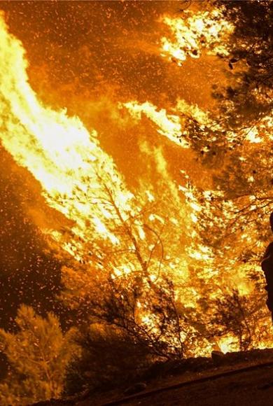 Μεγάλη φωτιά στα Ψαχνά Ευβοίας -Επί τόπου ισχυρές δυνάμεις της πυροσβεστικής