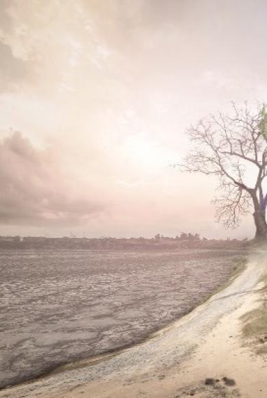 περιβαλλον