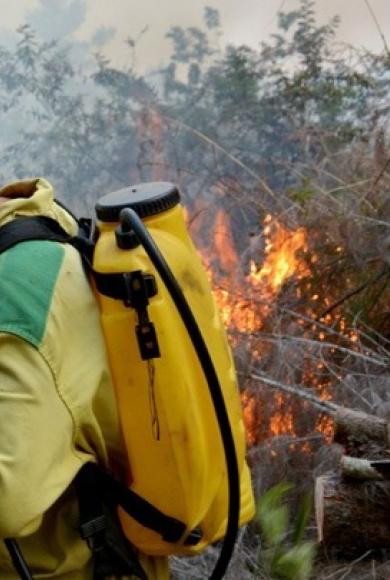 Δασικές πυρκαγιές