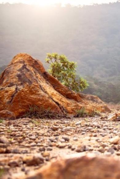 αυτοκινητο