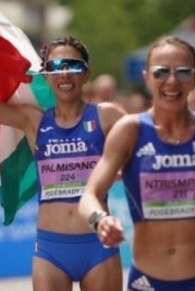 Ντρισμπιώτη