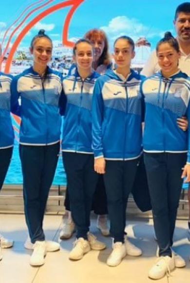 εθνική ανσάμπλ 