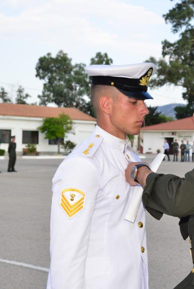 Διακριτικών Πτερύγων Αλεξιπτωτιστή