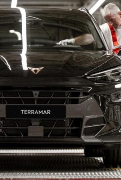Cupra Terramar
