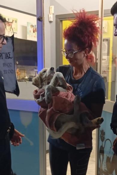 αστυνομικοί_respect