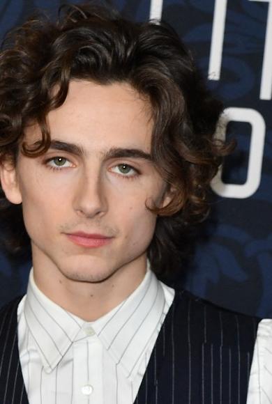 Τιμοτέ Σαλαμέ / Timothée Chalamet