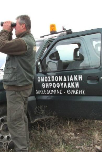 θηροφύλακες