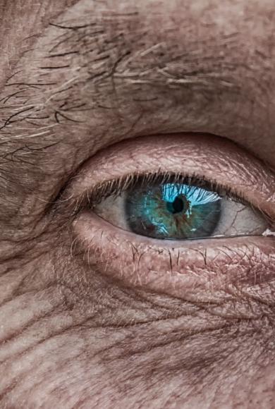 ΗΛΙΚΙΩΜΕΝΟΣ