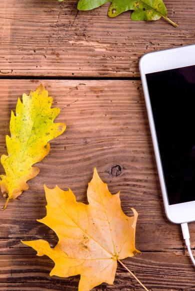 τηλεφωνο_pixabay