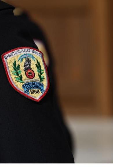 πυροσβεστικη_intime