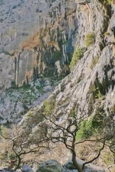 Βρέθηκαν οι οκτώ περιπατητές που αγνοούνταν σε φαράγγι