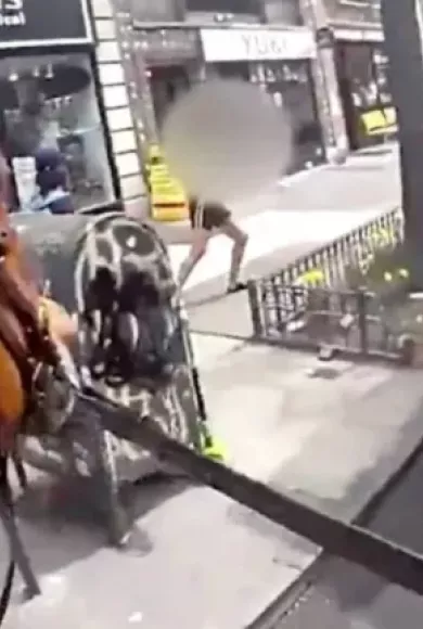 Νέα Υόρκη 