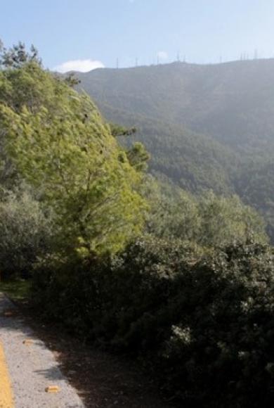 ΥΜΗΤΤΟΣ