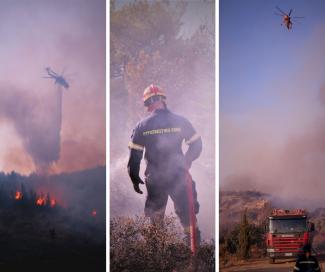 284312962_5077687465