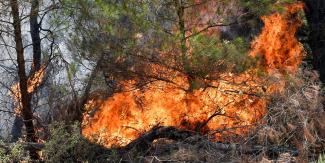 Σάμος: Γυναίκα έβαλε φωτιά στο Βαθύ - Αναγνωρίστηκε από κάμερα ασφαλείας και συνελήφθη