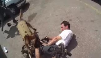 ΑΣΤΥΝΟΜΙΚΟς ΣΚΥΛΟς