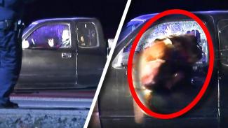 Αστυνομικός σκύλος Κ-9 στην Καλιφόρνια πήδηξε μέσα από το παράθυρο αυτοκινήτου αναγκάζοντας ύποπτο να βγει και να παραδοθεί