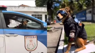 Ο «influencer» σκύλος της αστυνομίας του Ρίο - Έχει στολή, «γαλόνια» και πάνω από 120.000 followers 