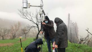 Διεθνές Πανεπιστήμιο Ελλάδας