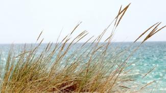 ταξιδιωτικών προορισμών